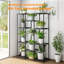 Camili Plant Stand