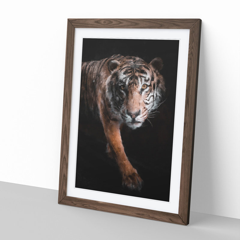 Prowling Tiger - Framed Print, 48cm H x 36cm W x 2cm D, Walnut Framed