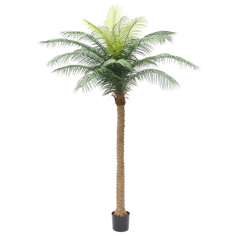 98 po plante
