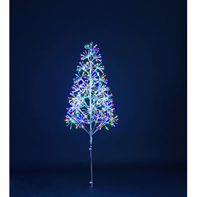 Lighted Trees & Branches