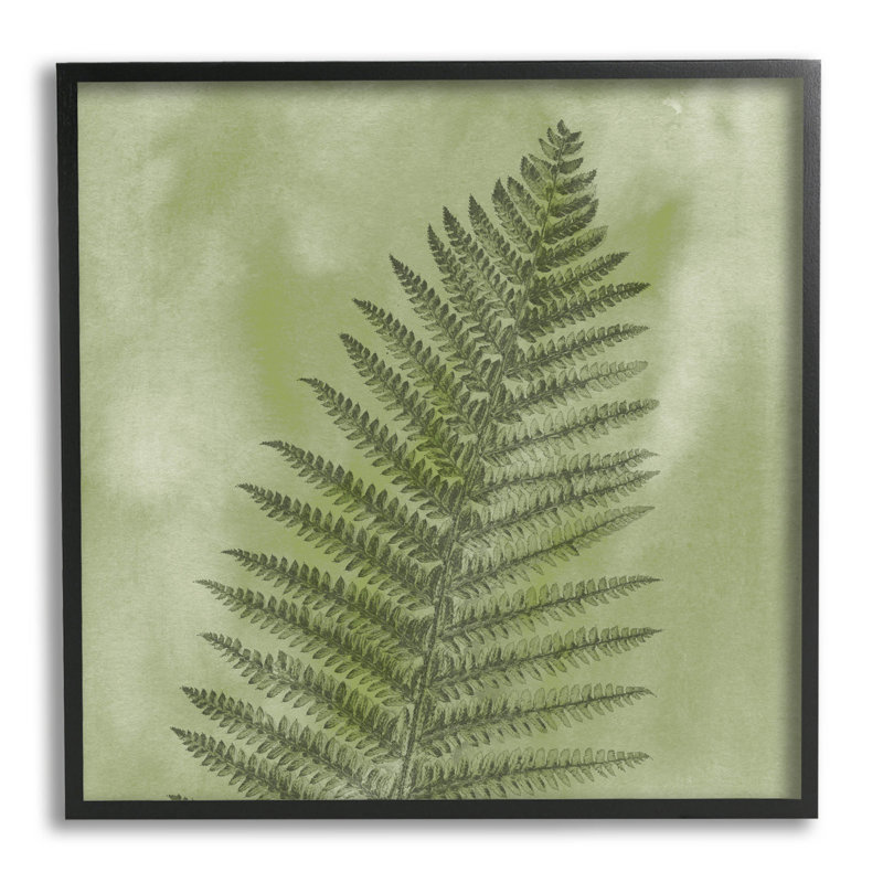 Art de giclée de fougère sauvage par Ziwei Li, Giclée encadrée noir minuit, H 24 po x l 24 po x P 1,5 po