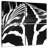 Brampt Zebra Stripes Pattern VI-109036534