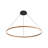 Nyal 59" LED Ring Chandelier-519580460
