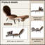 Chaise longue rembourrée pliable avec pieds robustes