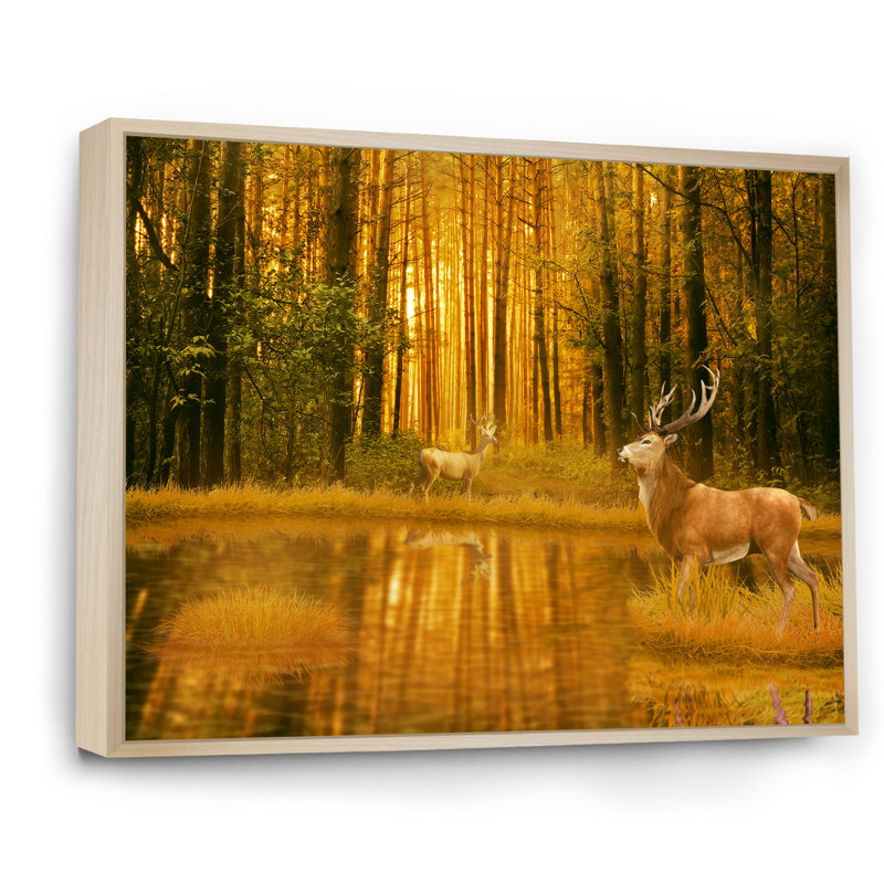 Deer Bucks In Summer Sunset - Décoration murale traditionnelle sur toile, H 8 po x l 12 po x P 1 po, Cadre flottant brun