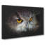 A Great Horned Owl - Wrapped Canvas-56648006