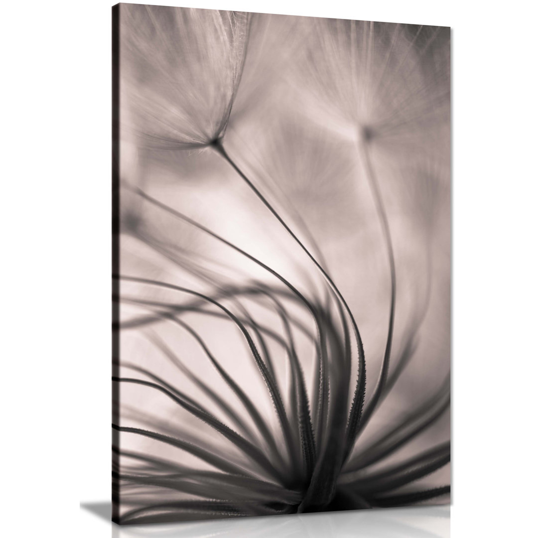 Blurry Dandelion Silhouette - Wrapped Canvas Photograph