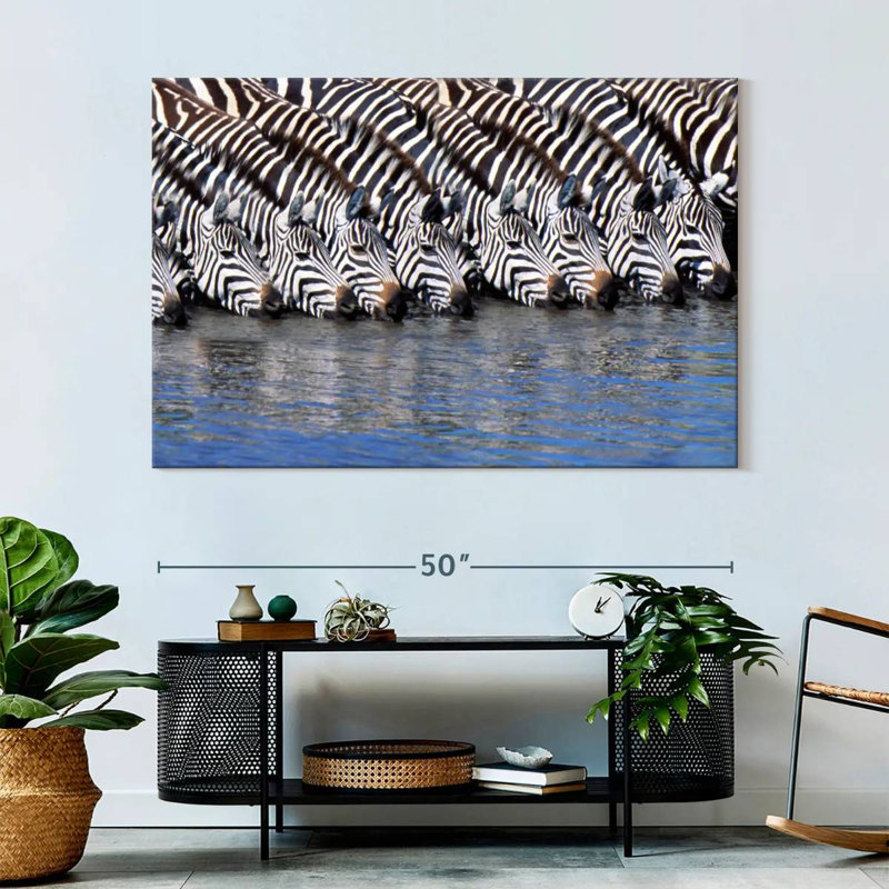 Crowle Zebras buvant de l'eau, H 34 po x l 51 po