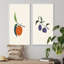 Vintage Autumn Harvest Fruits II - ensemble de 2 impressions-537123752-537123758