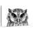 Bewitching Owl-107470114