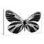 «Silver Butterfly (Horizontal)» par Jodi - impression-1135630470-1135630476