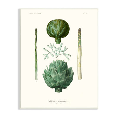 Schéma botanique de la nature avec artichaut par World Art Group - impression