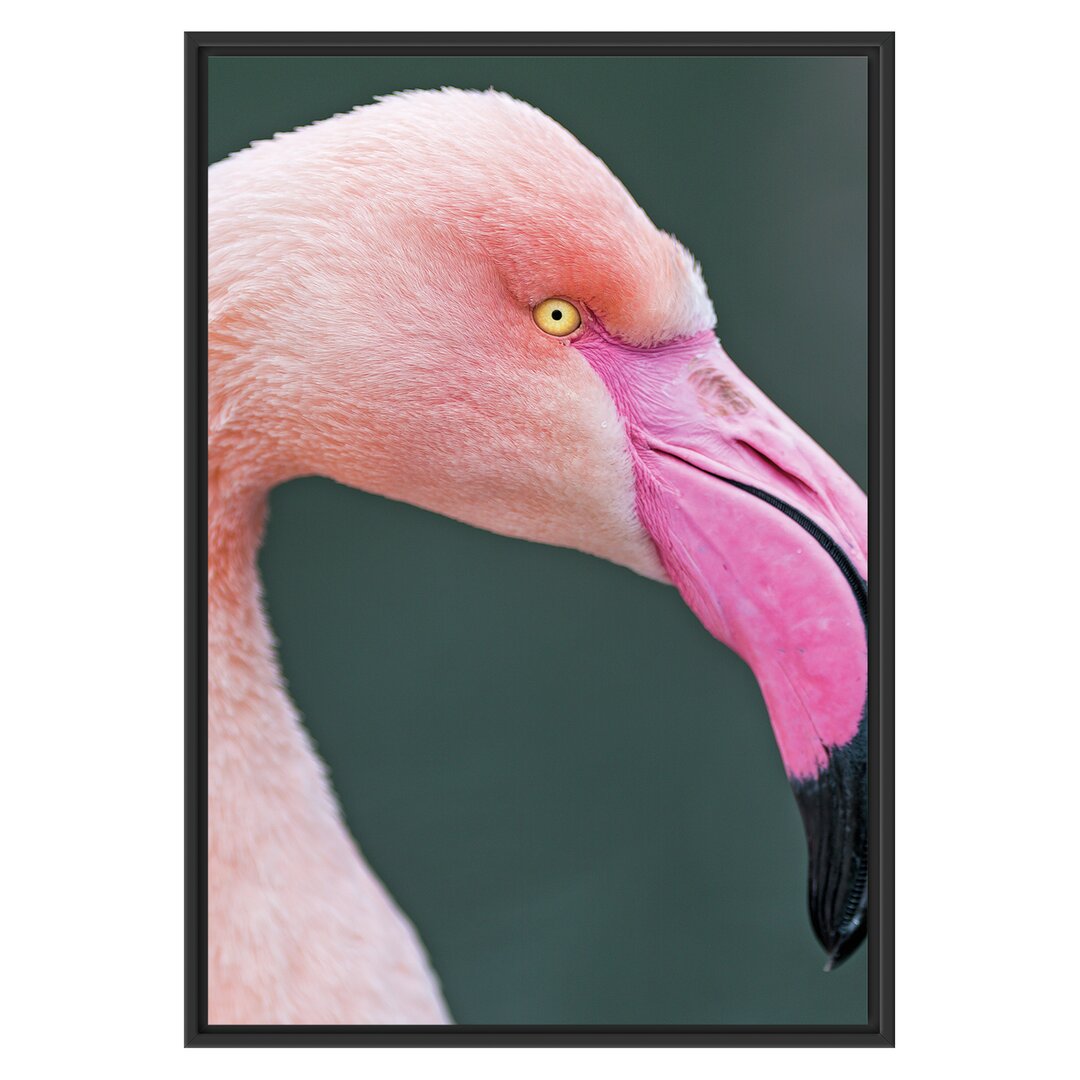 Gerahmtes Wandbild FlamingoSeitenprofil