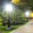 E39/Mogul 5000 K LED Smart Bulb-128795219