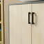 Ashwika 60cm Single Bathroom Vanity Base Only