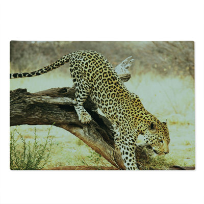 Ambesonne Exotic Cutting Board Large Size Leopard Wild Cat on Tree Yellow Green Brown