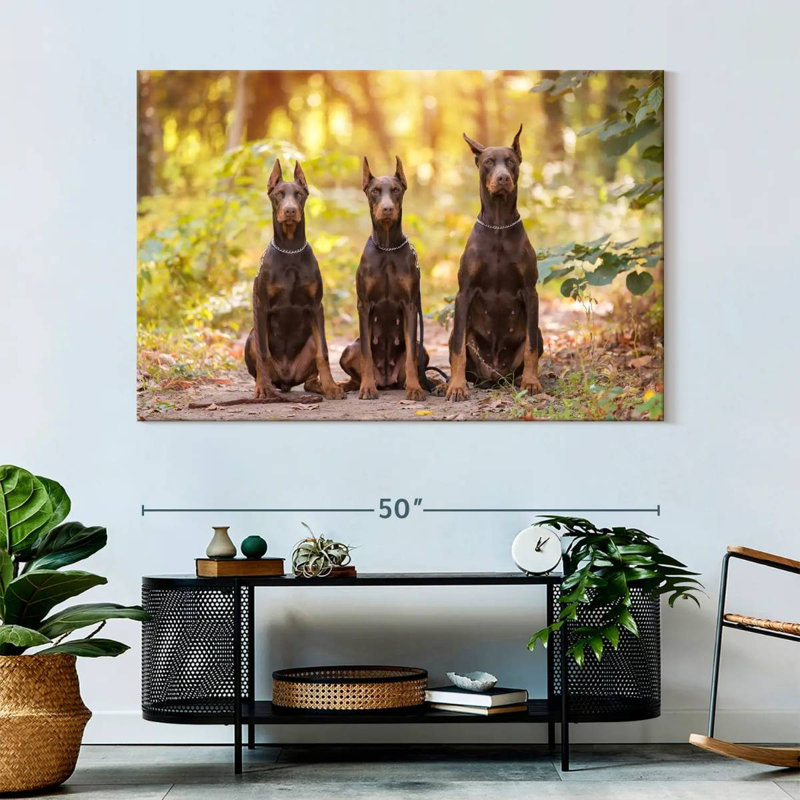 Doberman Pinschers, 34" H x 51" W