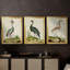 Heron Portrait I - Toile tendue avec châssis sur mesure - 3 pièces-1122106541-1122106543