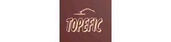 Logo TOPEFIC