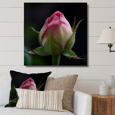 «Delicate Pink Rose Bud Iin the Early Morning», reproduction sur toile