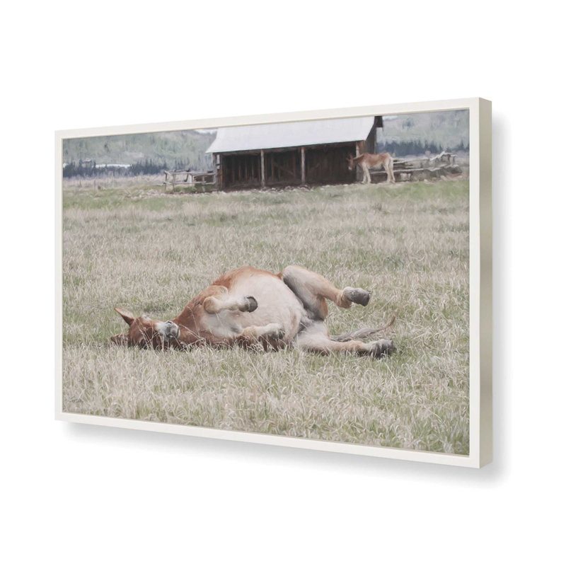 «After Dinner Nap» par Lori Deiter, reproduction d'art, L 12 po x H 8 po, White, Framed Print
