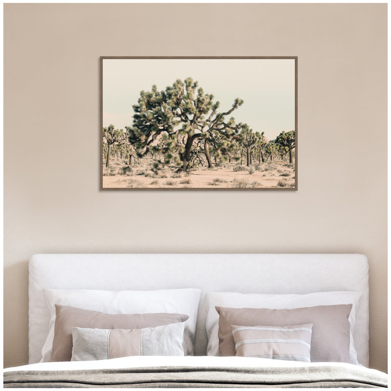 Joshua Tree No. 1 par Alicia Bock, reproduction d'art sur toile encadrée