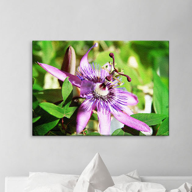 Print on Canvas, 100cm H x 150cm W x 2cm D