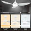 Aoise 45'' Ceiling Fan with LED Lights