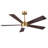 5 Blades Indoor Ceiling Fan Dimmable LED Light Kit And Remote , 6-Speed Noiseless Reversible DC Motor-2069691782-2054405702
