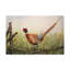 Glorious Pheasant par Jean Plout - reproduction d'art sur toile-31331333