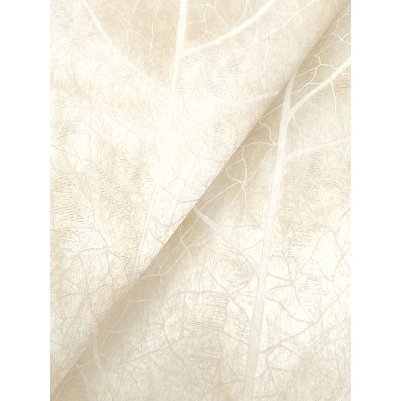 Papier peint Dicot, Ivoire
