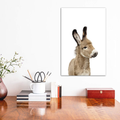 «Baby Donkey» par Sissi & Seb - reproduction de photo