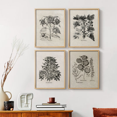Vintage Floral Print CCCXXX  Framed Print - Set of 4