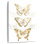 Brampt Gold Butterfly Contours II