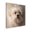 «Maltese Puppy Portrait» par Lois Bryan, reproduction sur toile-1557077128