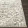 Minneapolis Oriental Indoor Rug