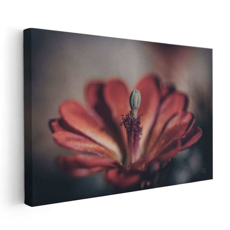 Elevation Bloom - Canvas Print Wall Art, 20" H x 30" W