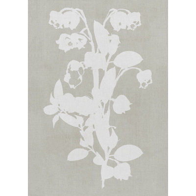 Illustration botanique 4