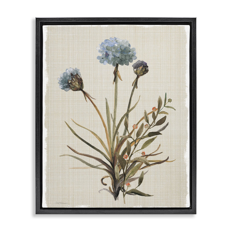 Cadre flottant avec bourgeons d'hortensia naturel, design par Carol Robinson, H 31 po x l 25 po, Cadre flottant noir de jais