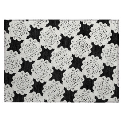 Machine Washable Indoor/Outdoor Chantille ACN2352 Casual Rug