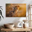 Adorables lionceaux Brampt-108815752