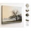 Chêne solitaire noir beige, paysage d'hiver enveloppé Ingwer-874713126
