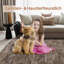 Area Rug-1480552428-1480552443