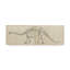 «Dinosaur Study I» par Ethan Harper - reproduction d'art sur toile tendue-33423488