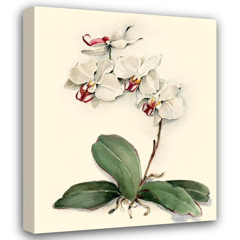 Art sur toile tendue, Astoria Grand Waldman, Joy, Phalaenopsis, H 44 po x l 36 po