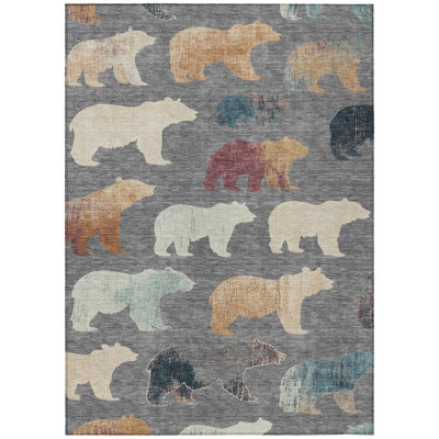 Machine Washable Indoor/Outdoor Chantille ACN2338 Lodge Rug