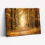 Ensemble de 1 tableau sur toile tendue représentant un chemin forestier d'automne-1077250037
