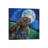 Moon Gazer by Lisa Parker - Wrapped Canvas Gallery-Wrapped Canvas Giclée-323864535