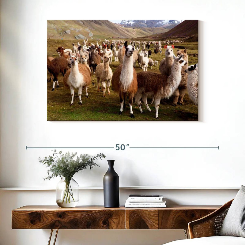 Brampton, lamas et alpagas, H 26 po x l 39 po