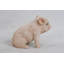 Statue porc de bébé assis-16443396